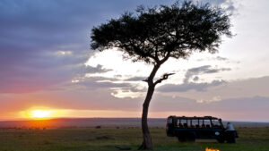 Mara Intrepids Tented Camp