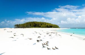 East Africa Safari & Zanzibar – 11 Days