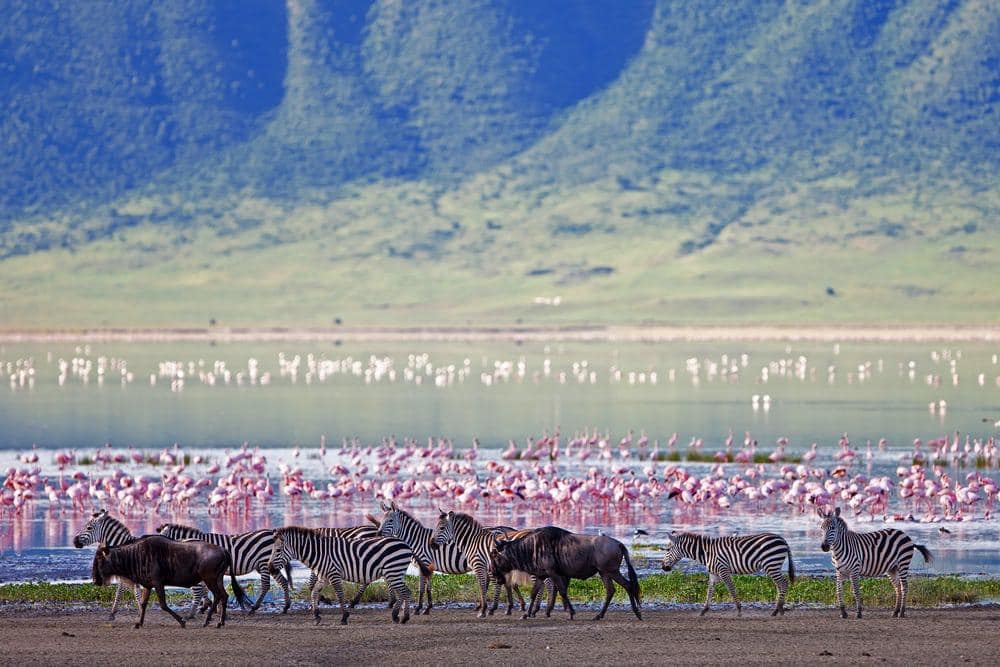 The Ngorongoro Crater