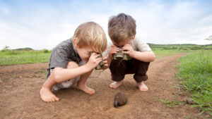 Kid-Friendly Safari Lodges