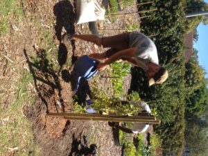 ASC Plants Trees with Greenpop