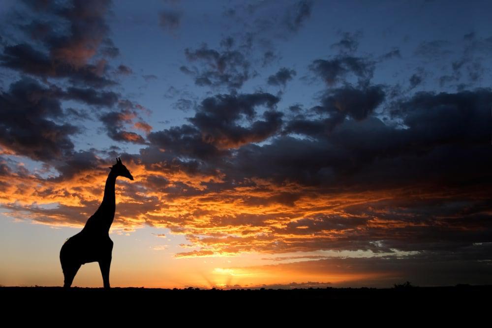 Nothing like an African sunset!