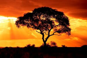 What To Expect on a Sundowner Drive
