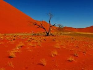 Self Drive Spectacular Namibia – 11 Days