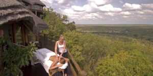 Wellness Safari ideas
