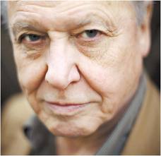 Q&A With Sir David Attenborough for BBC Africa
