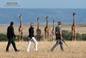 King of Another Kind – The NEW Mara Plains Camp