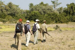 5 Steps Deeper into Africa on a Walking Safari