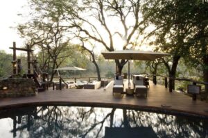 Dulini Collection Offer