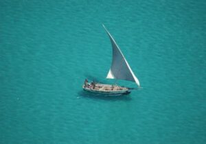 Spotlight on Mozambique
