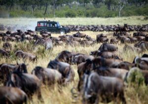 Tanzania