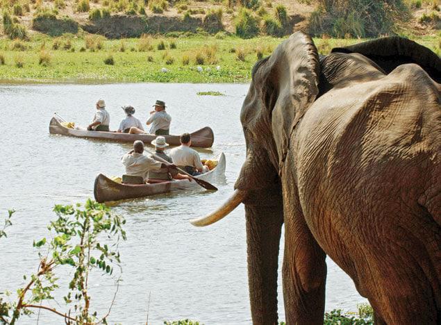 Lower Zambezi
