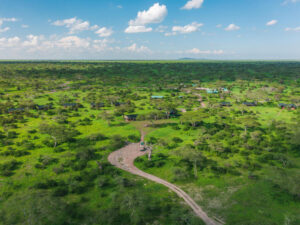 Lemala Mara Camp
