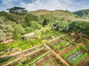 Gibb’s Farm