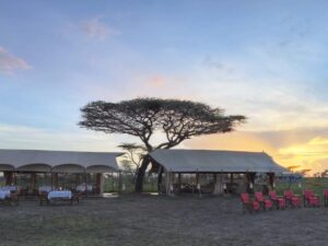 andBeyond Serengeti Under Canvas