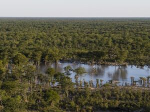 Elephant Pan Tented Camp