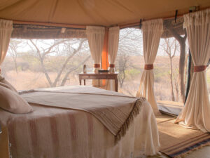 Lewa Safari Camp
