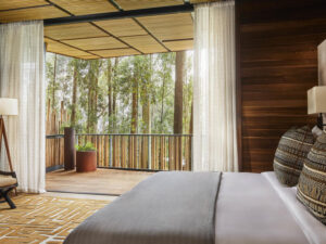 Gorillas Nest Hotel