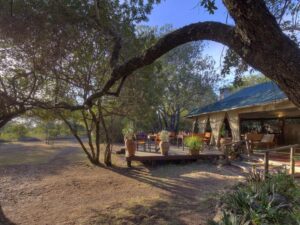 Kicheche Laikipia Camp