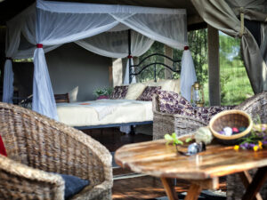 Tarangire River Camp