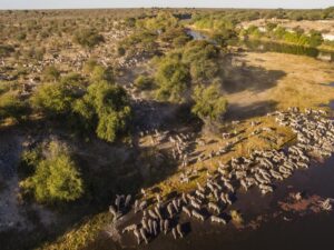 Meno a Kwena Tented Camp