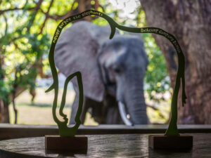 Mfuwe Lodge