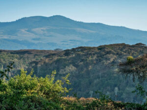 Sanctuary Ngorongoro Crater Camp