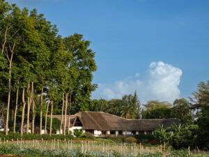 Ngorongoro Farm House