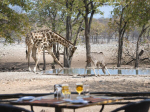 Ongava Tented Camp