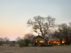 Rhino Walking Safaris at Plains Camp