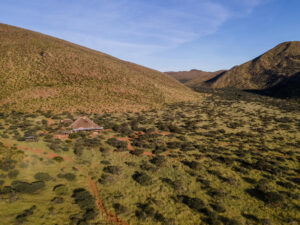 TSWALU – Tarkuni