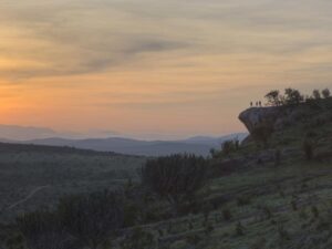 Borana Lodge