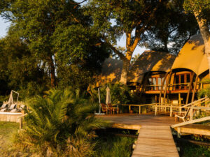 Jacana Camp
