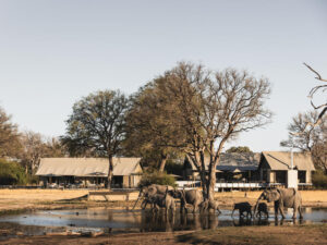 Linkwasha Camp