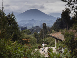 Sabyinyo Silverback Lodge