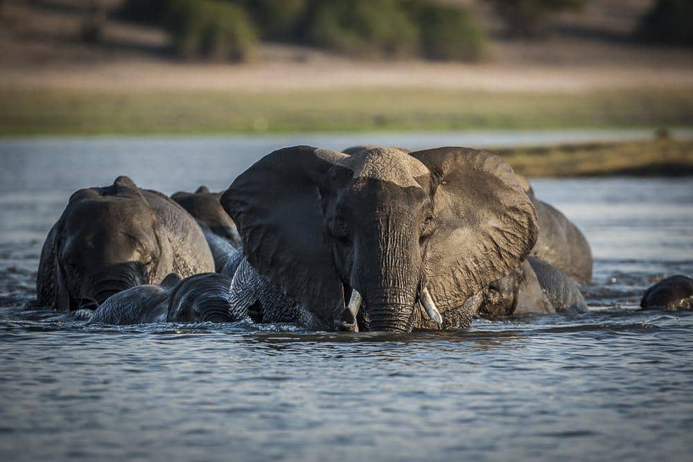 Victoria Falls, Okavango Delta & Kalahari – 10 Days