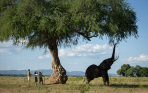 Zimbabwe