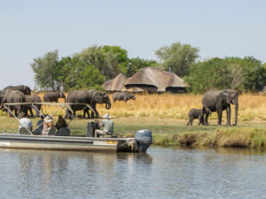 Chobe Savanna Lodge