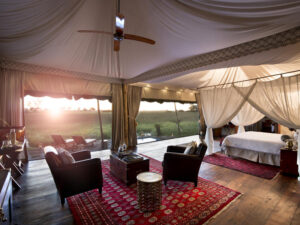 Duba Plains Camp