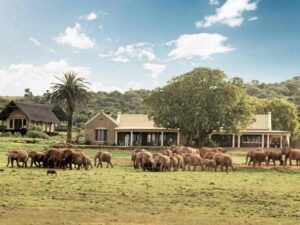 Gorah Elephant Camp