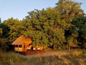 Kuyenda Bush Camp