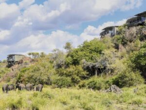 Singita Lebombo Lodge