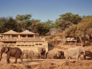 Belmond Savute Elephant Lodge