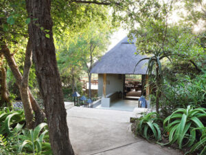 Londolozi Pioneer Camp