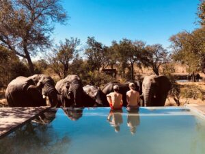 Honeyguide Mantobeni Tented Camp