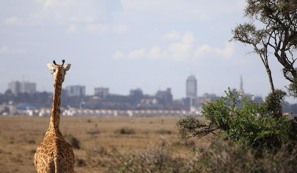 Nairobi