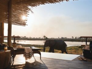 Belmond Eagle Island Lodge