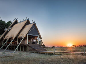 Selinda Camp