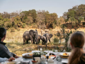 Simbavati River Lodge