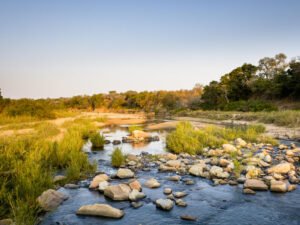 Singita Ebony Lodge